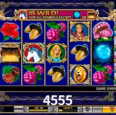 Flash Promotion 4555